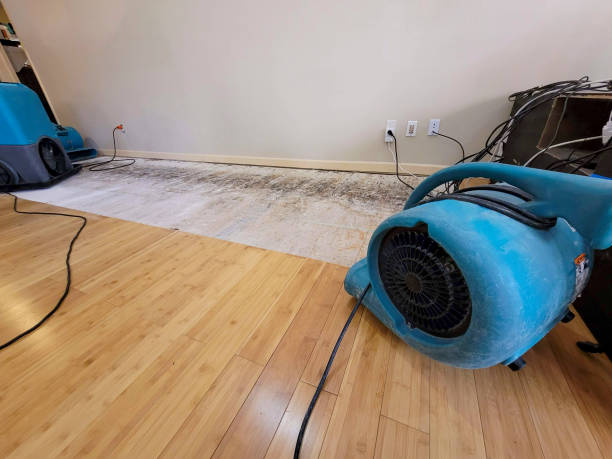 Professional Sewage Cleanup technician working in Enterprise, OR